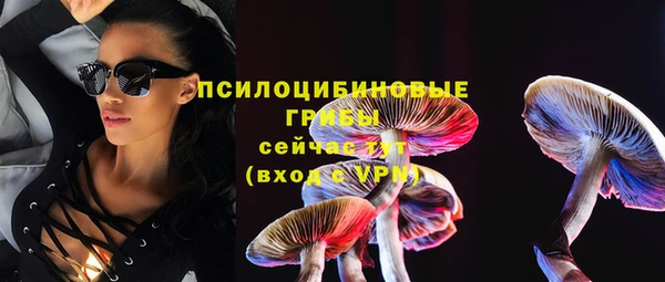мескалин Арсеньев