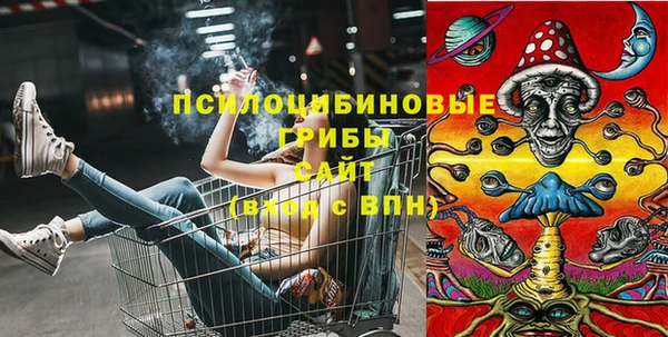 дмт Армянск