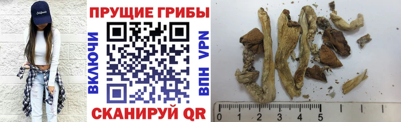 Галлюциногенные грибы GOLDEN TEACHER  купить  сайты  Лыткарино 